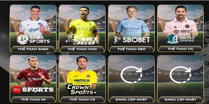 Sảnh thể thao là nơi giải trí an toàn và hấp dẫn